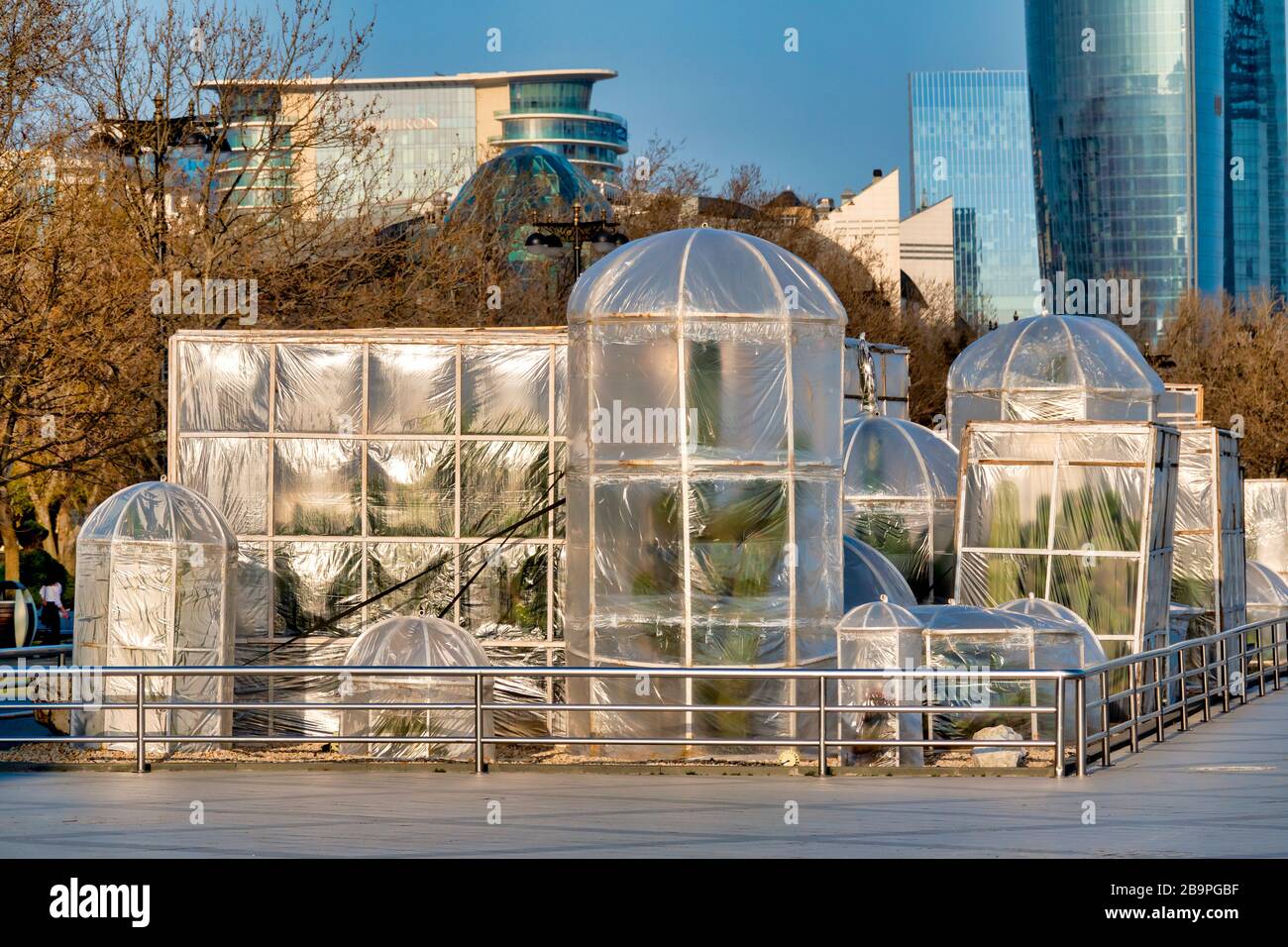 Greenhouse to protect trees from the cold on the boulevard, Baku