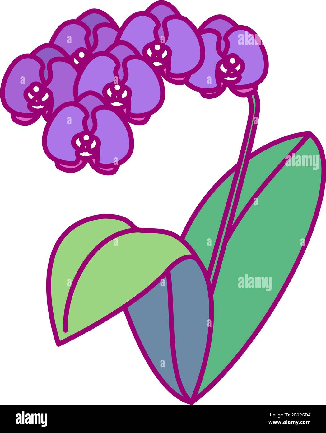 vector handdrawn cute plant clip art exotic flower Stock Vector Image