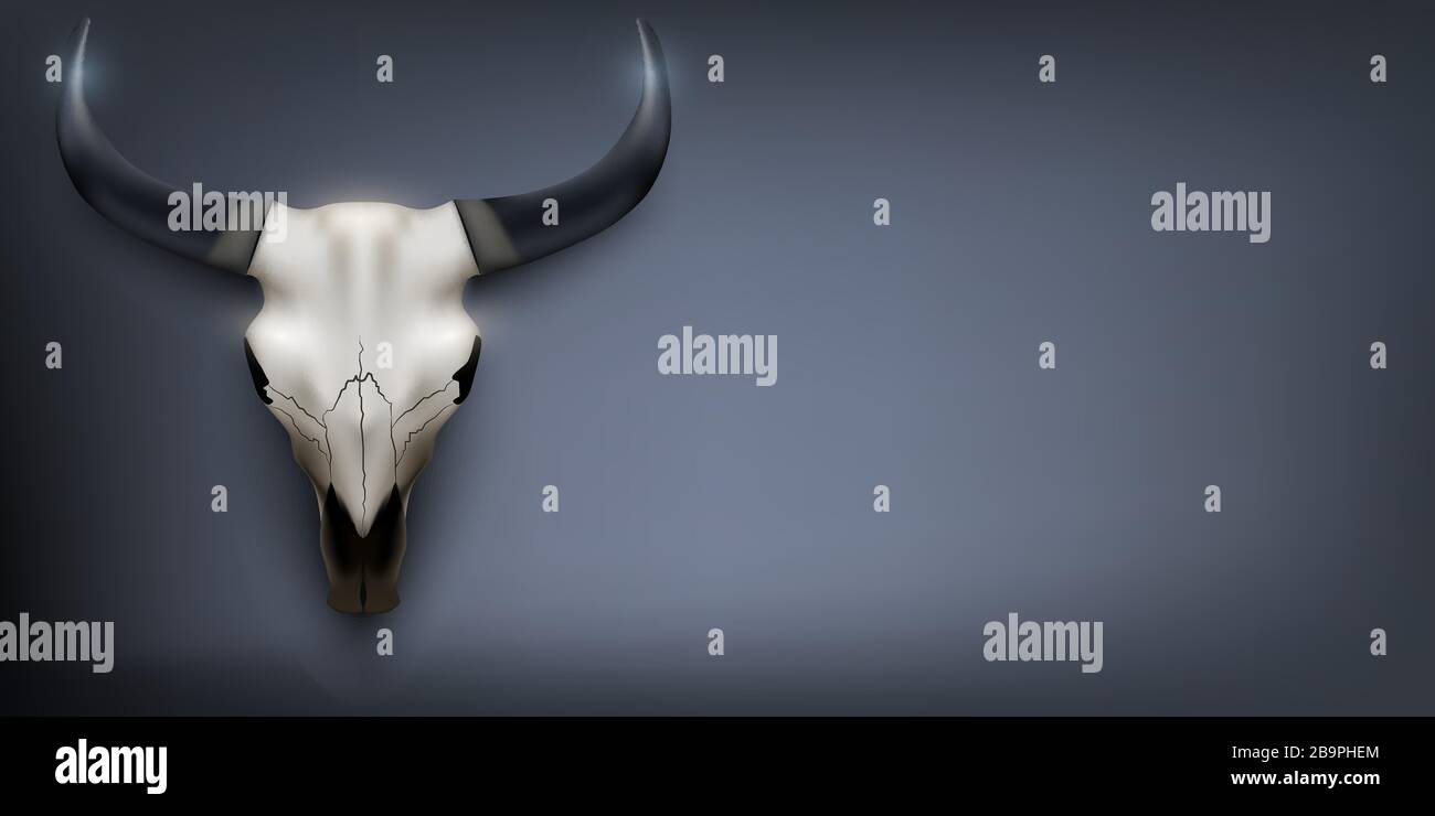 Animal Skull Banner Stock Vector