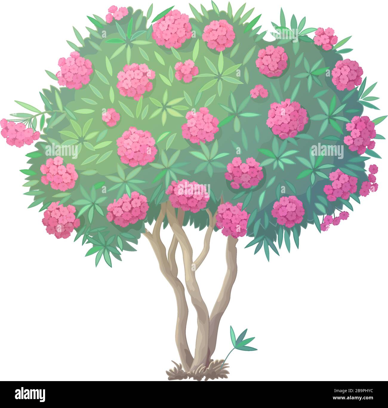 vector handdrawn plant clipart blooming Oleander tree Stock Vector