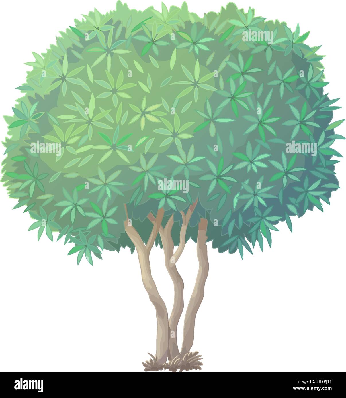 vector handdrawn plant clipart Oleander green tree Stock Vector