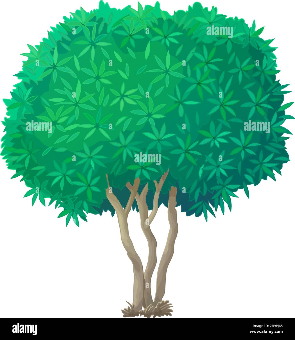vector handdrawn plant clipart Oleander green tree Stock Vector