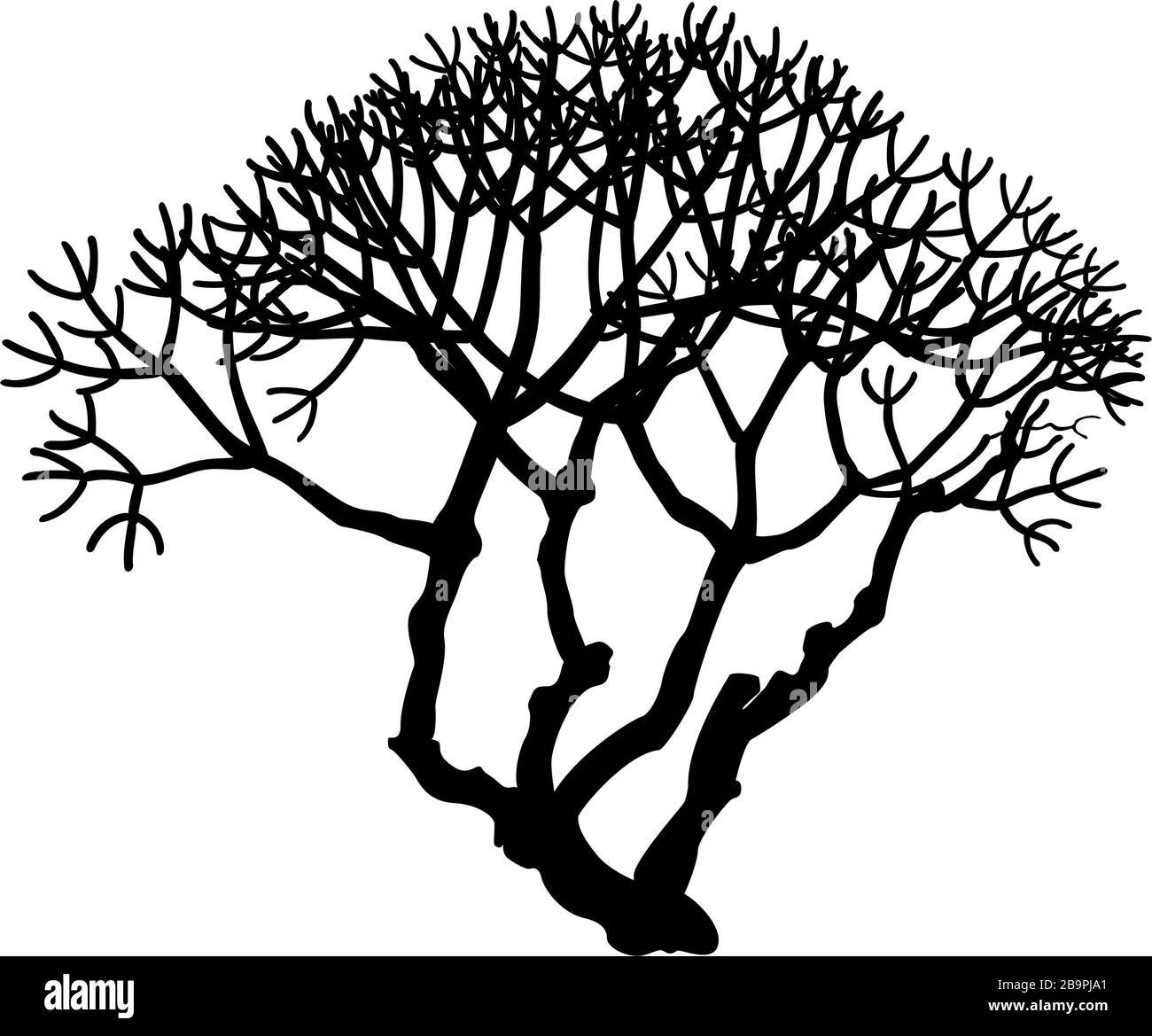 Plumeria Rubra -frangipani Tree-01 - 3D Model for VRay, Corona
