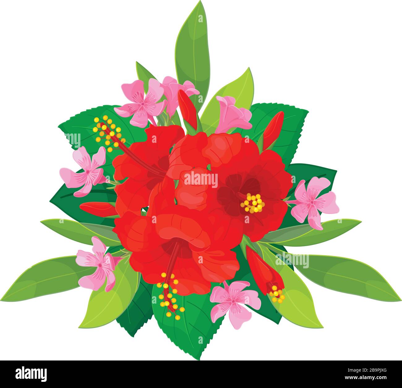 vector tropical pattern clip art. Floral design element Stock Vector