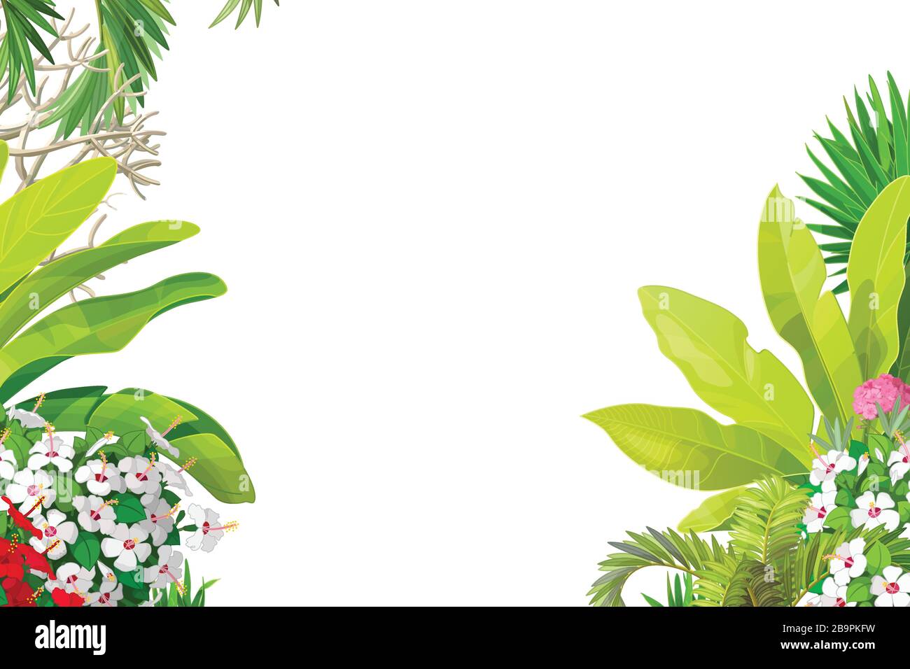 Summer Border Clip Art