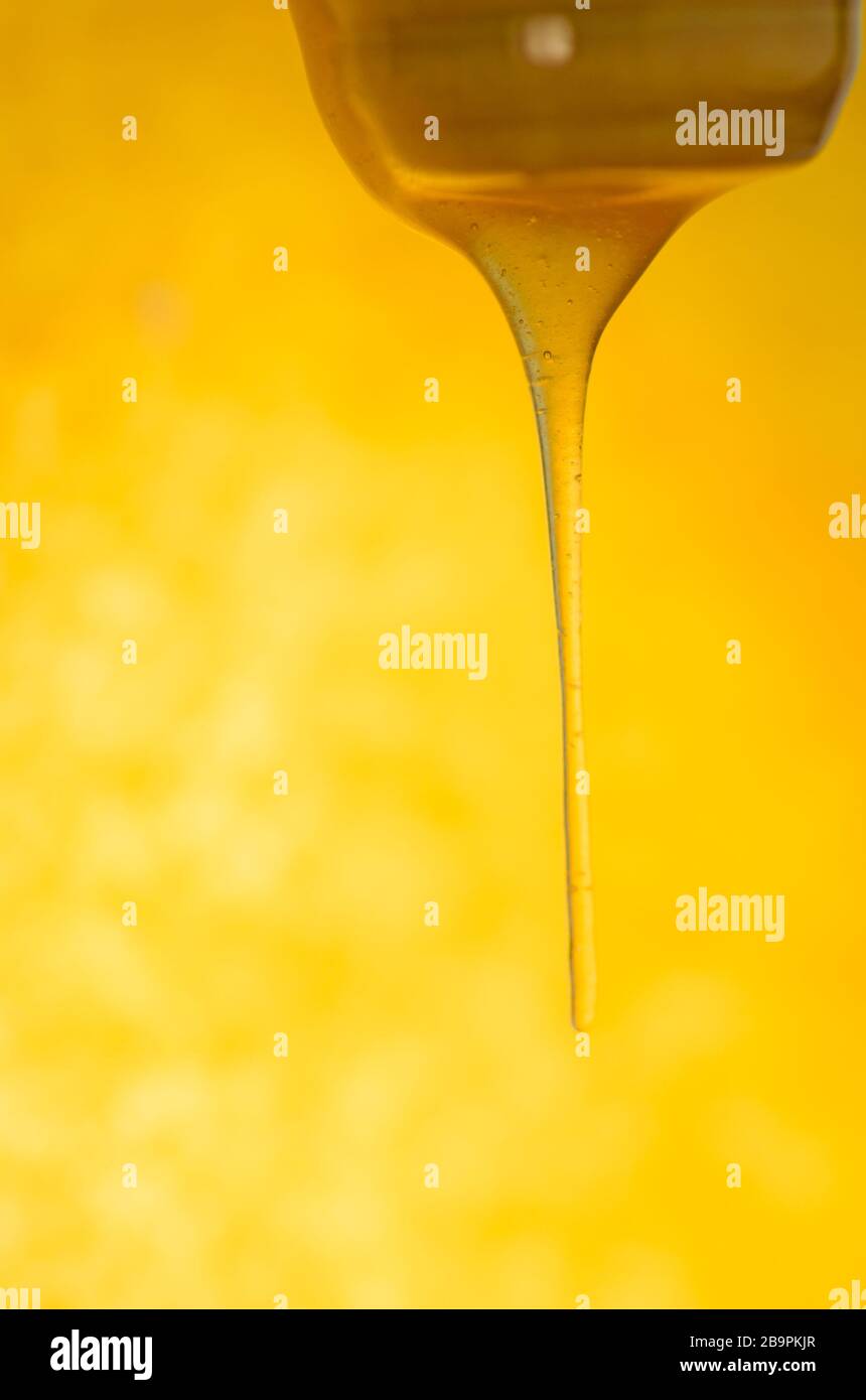 Hot sweet liquid syrup. liquid caramel. Dripping golden syrup. Caramel sauce dripping. Sweet