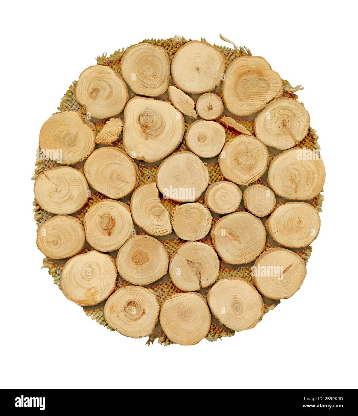 Wooden round plate isolated on white background. Wooden empty board