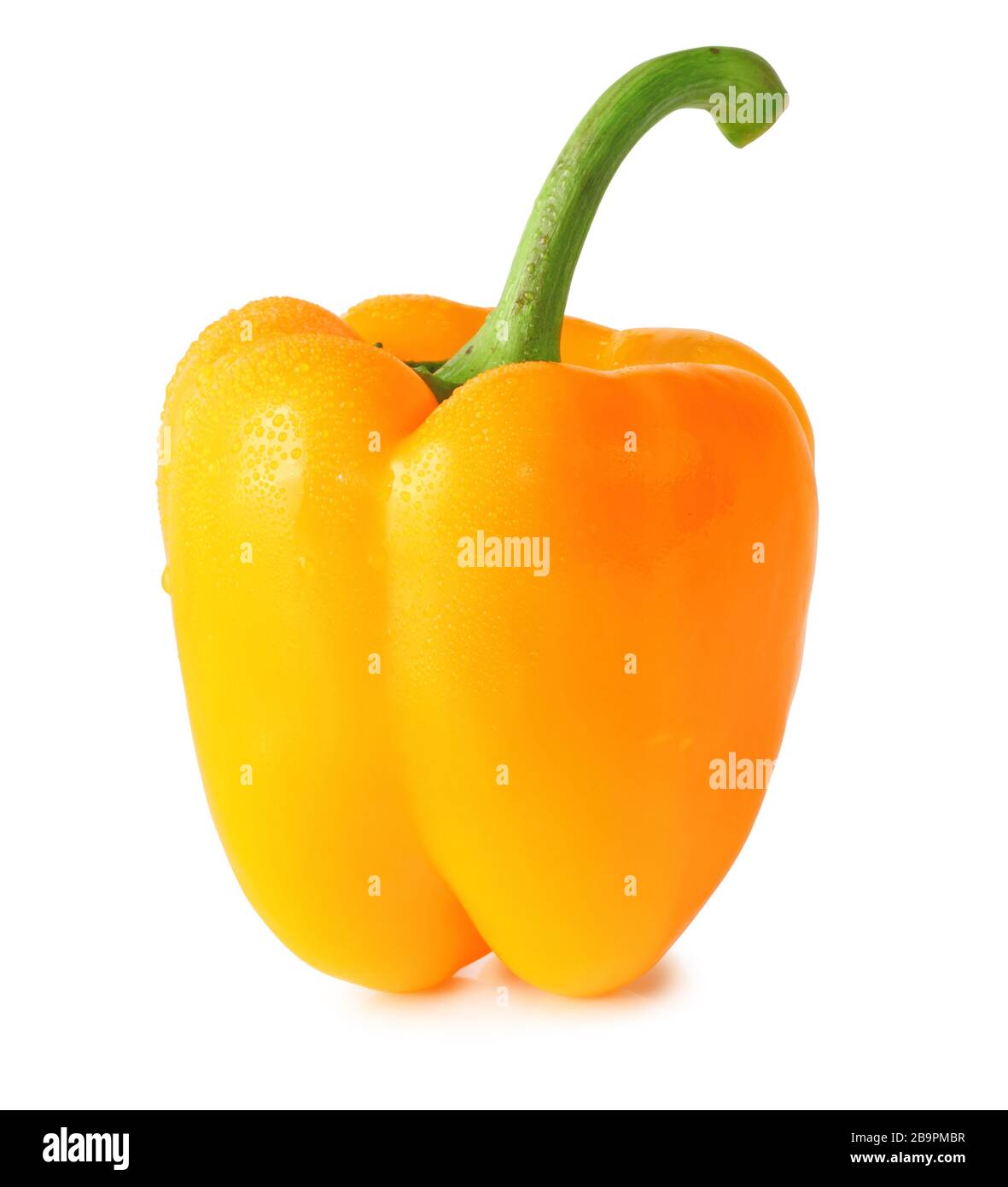 Fresh paprika (Capsicum) with water drops isolated on white background, including clipping path without shade. Germany Frischer Paprika mit Wassertrop Stock Photo