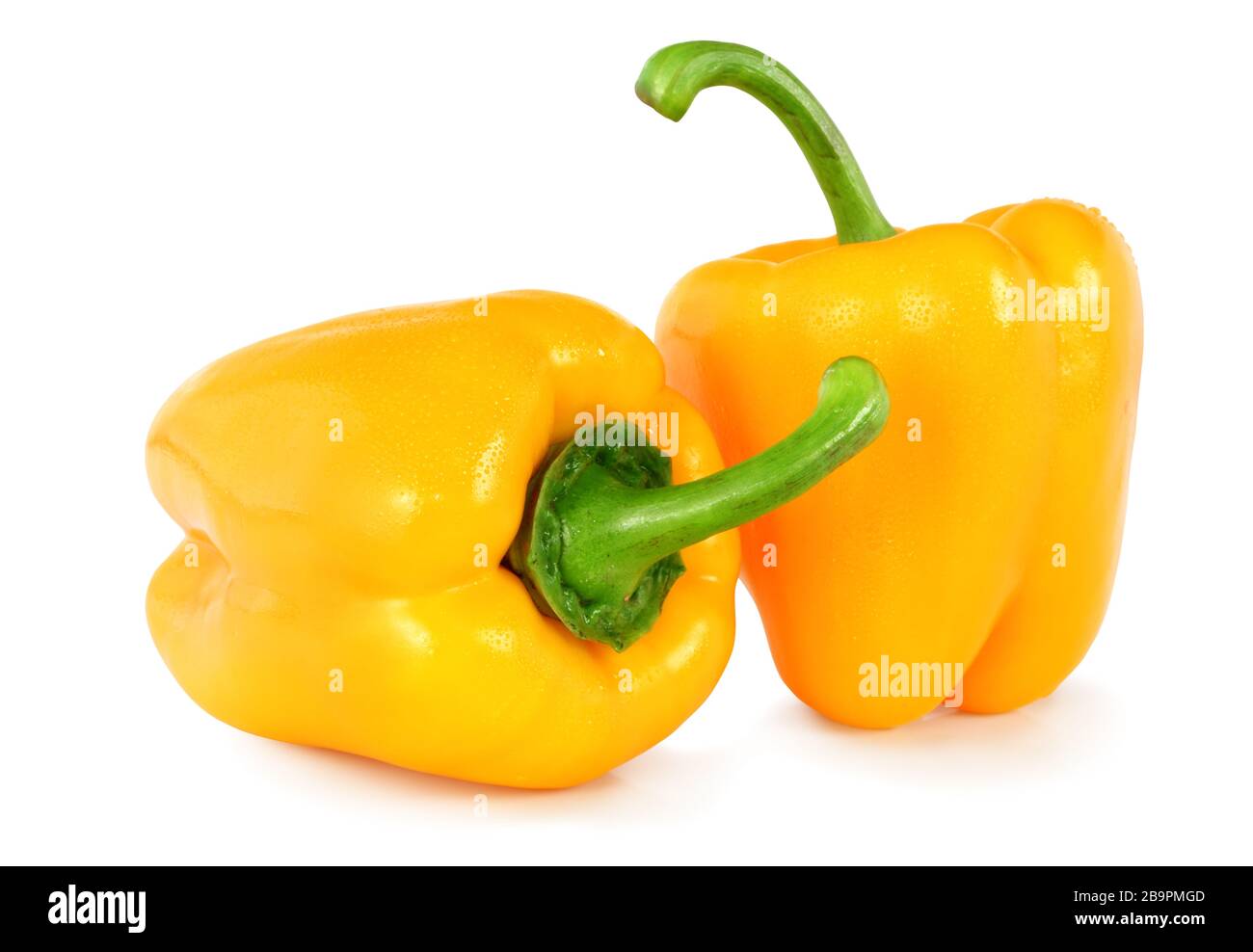 Two fresh paprikas (Capsicum) with water drops isolated on white background, including clipping path without shade. Germany Zwei frische Paprika mit W Stock Photo