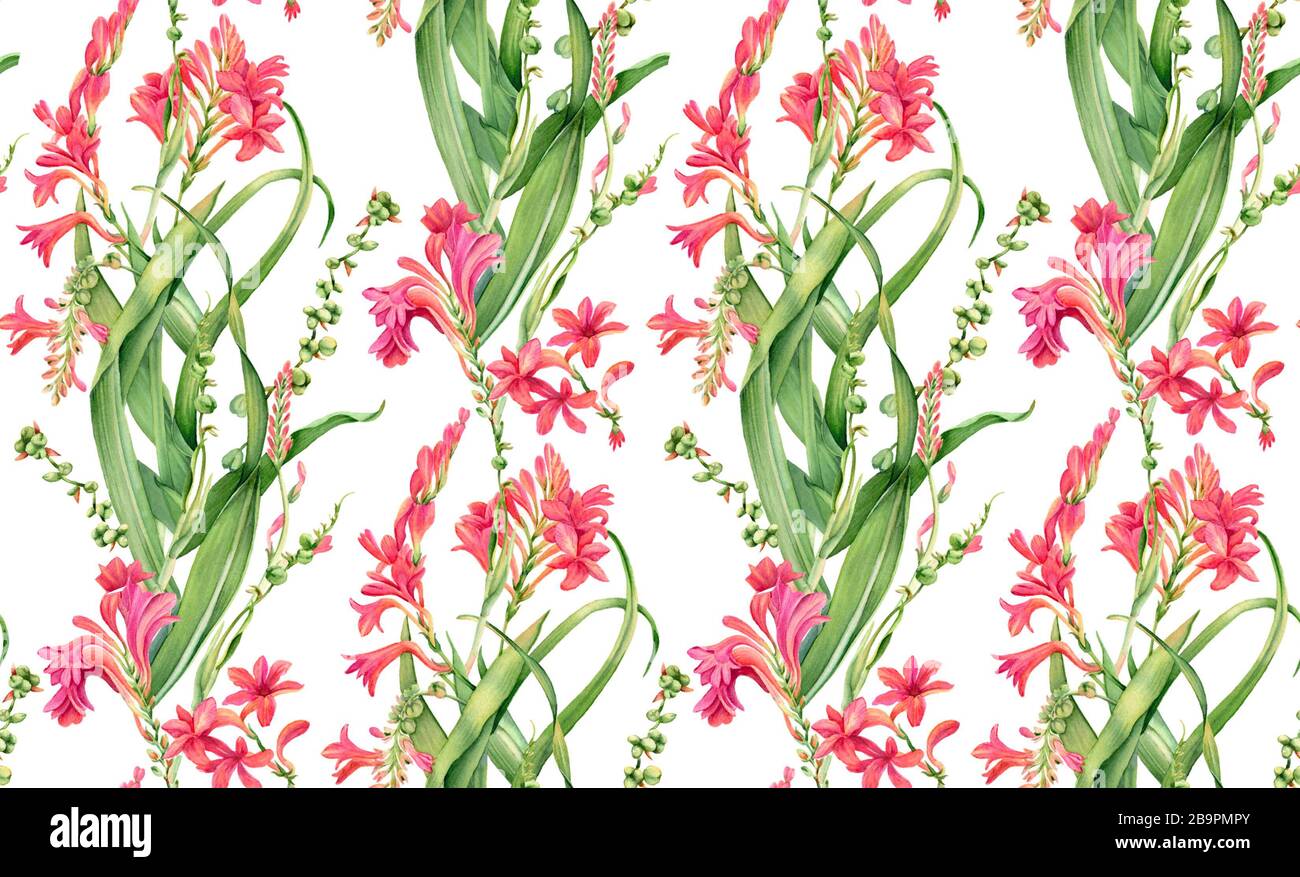 Watercolor seamless pattern. Pink flowers in bloom. Colourful tropical floral design isolated on white. Botanical floral illustration for wrapping Stock Photo