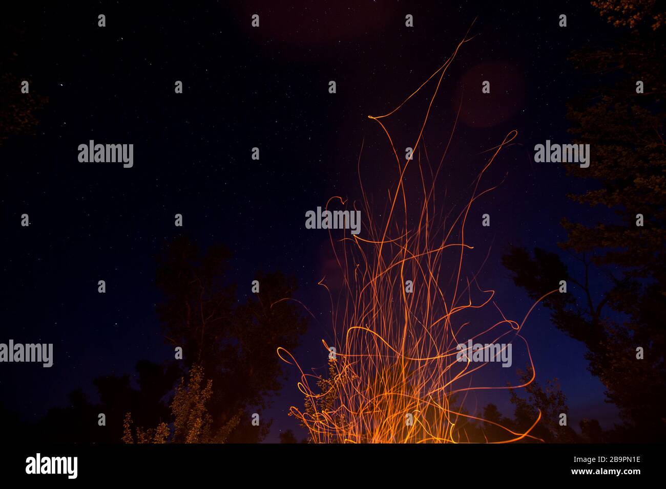 traces of flying campfire sparks in night forest Stock Photo - Alamy