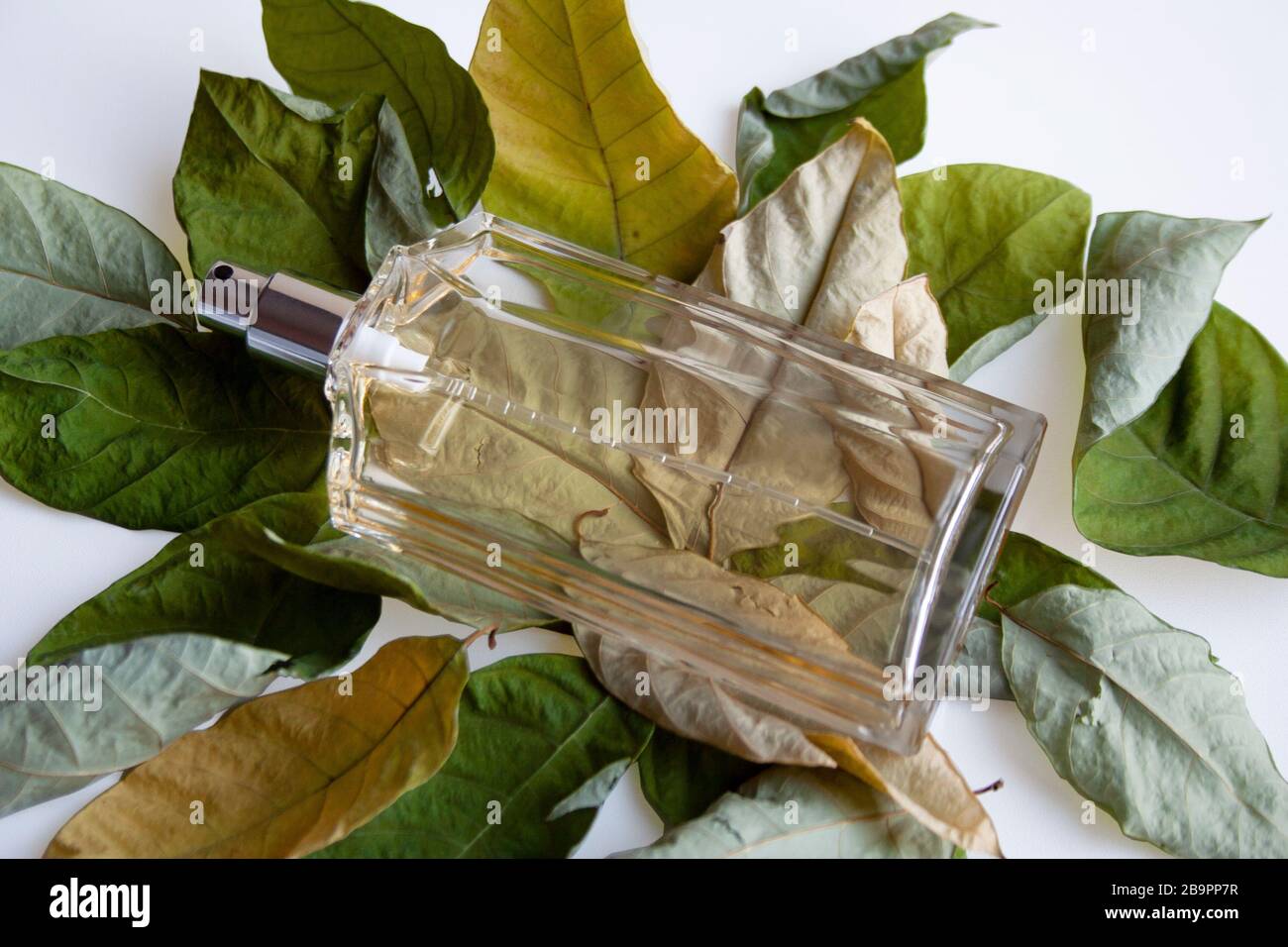 Transparent glass perfume bottle on dry green and yellow leaves Stock Photo