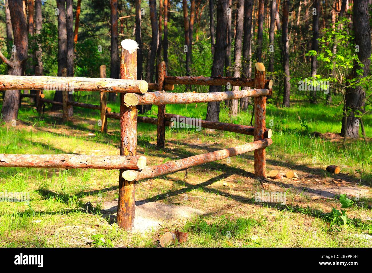 wooden fence in pinr forest, sunny landscape Stock Photo - Alamy