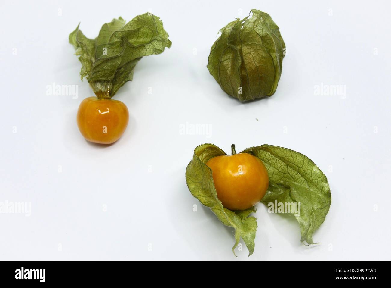 Group of physalis, cape gooseberry fuits in various forms. Ripe fuits ...