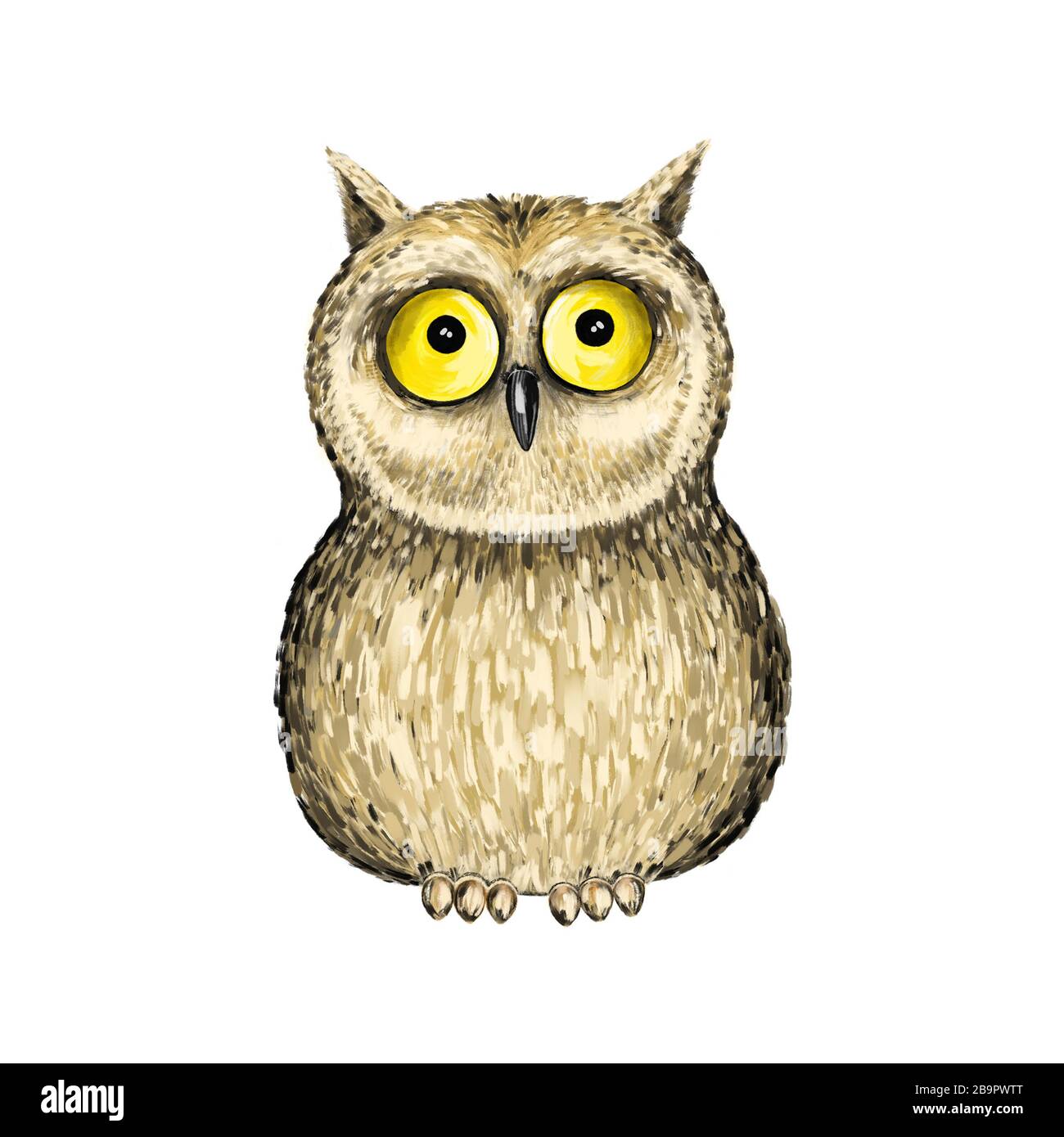 Owl on white background. Animal isolated illustration Stock Photo - Alamy
