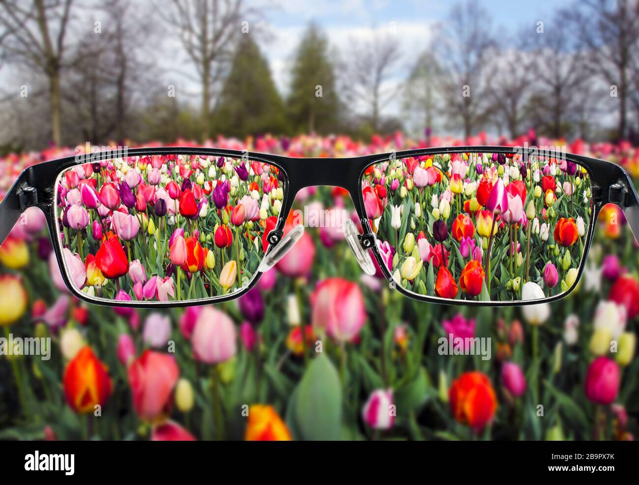 Black metal glasses looking through colorful flower field. Glasses for