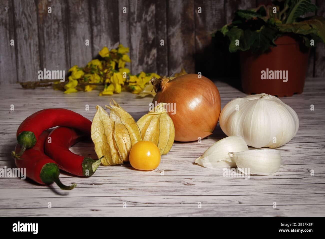 For a healthy life, eat fruits and vegetables daily Stock Photo