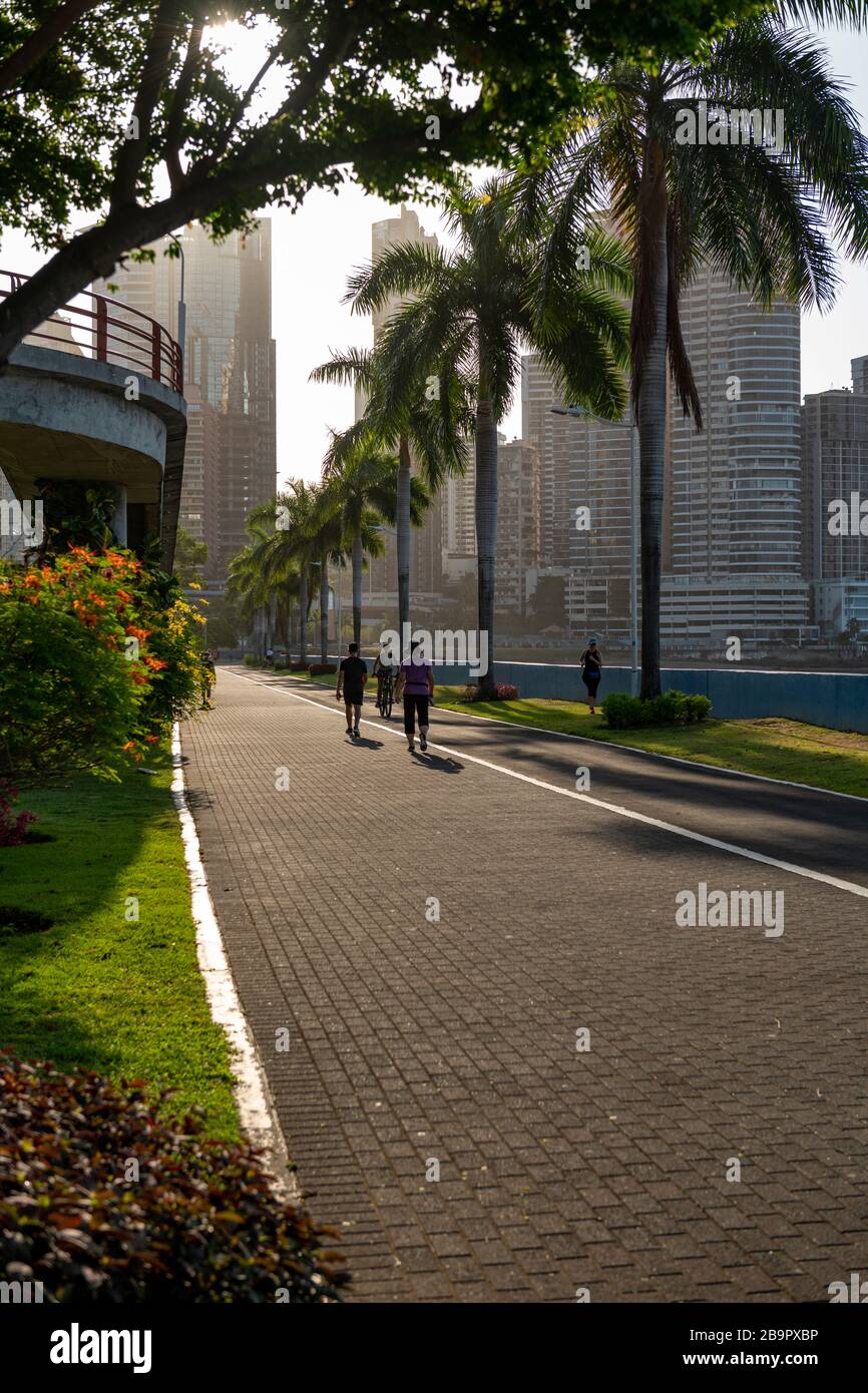 Balboa trees hi-res stock photography and images - Page 10 - Alamy