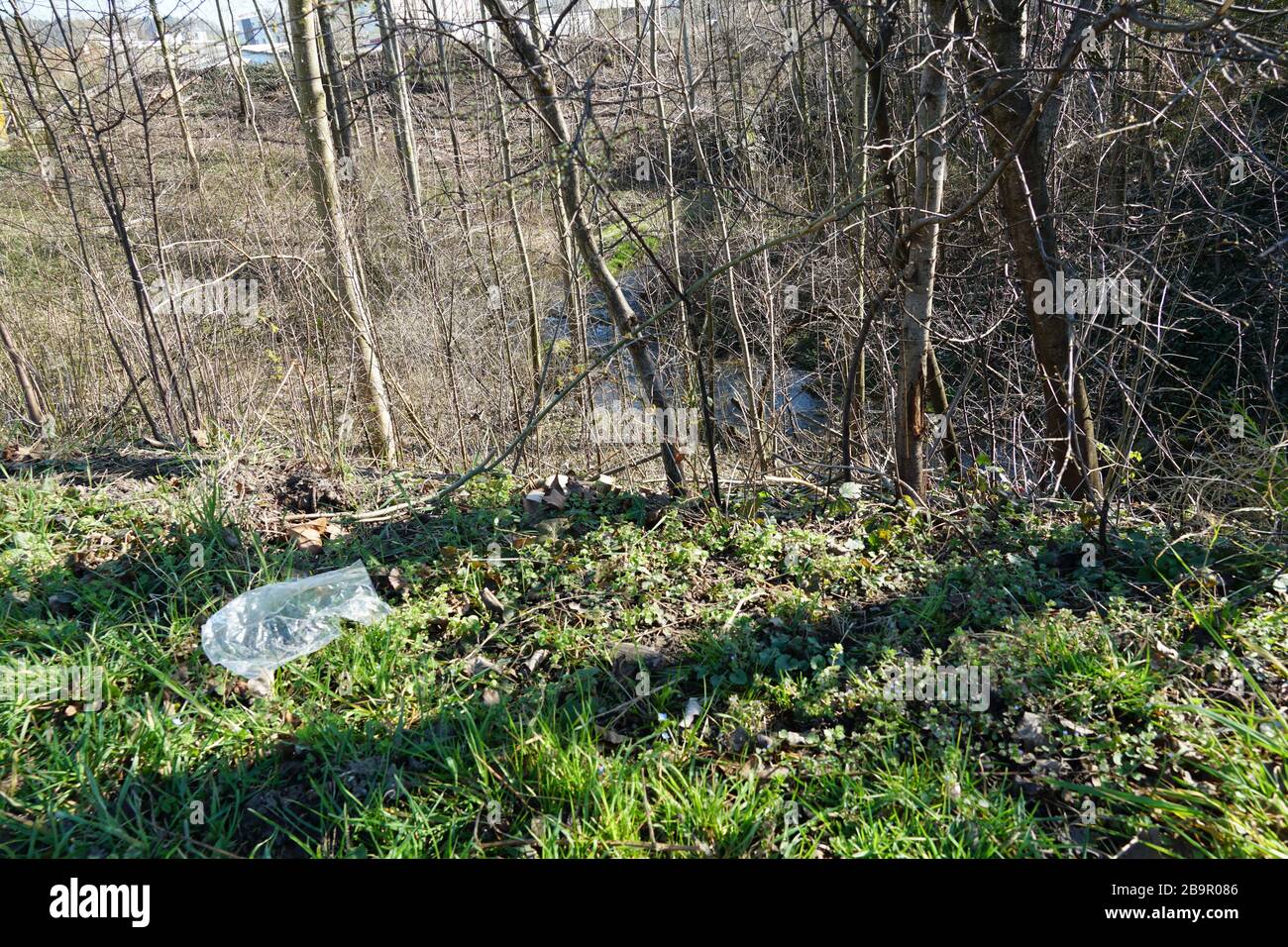 Plastic bag polluting nature, grass space in a small wood. Pollution of
