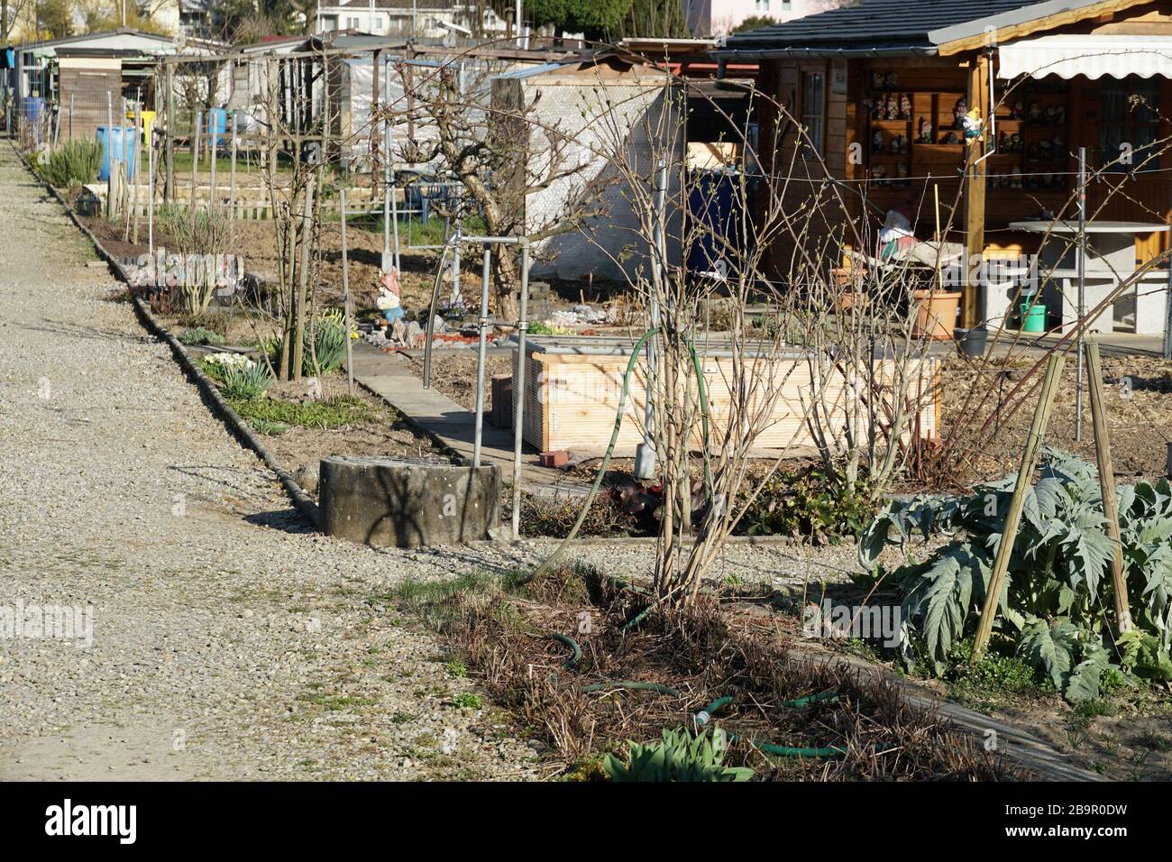 A gravel path in allotment garden colony and small garden houses on a sunny day in spring in village Urdorf in Switzerland. Stock Photo