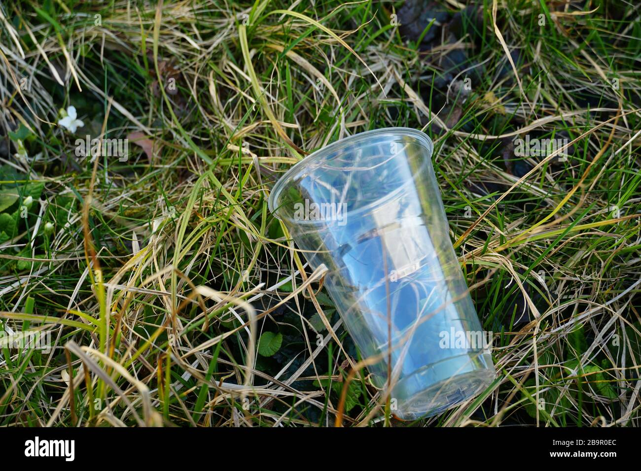 An empty transparent plastic cup disposed on a lawn in residential area in village Urdorf Switzerland Stock Photo