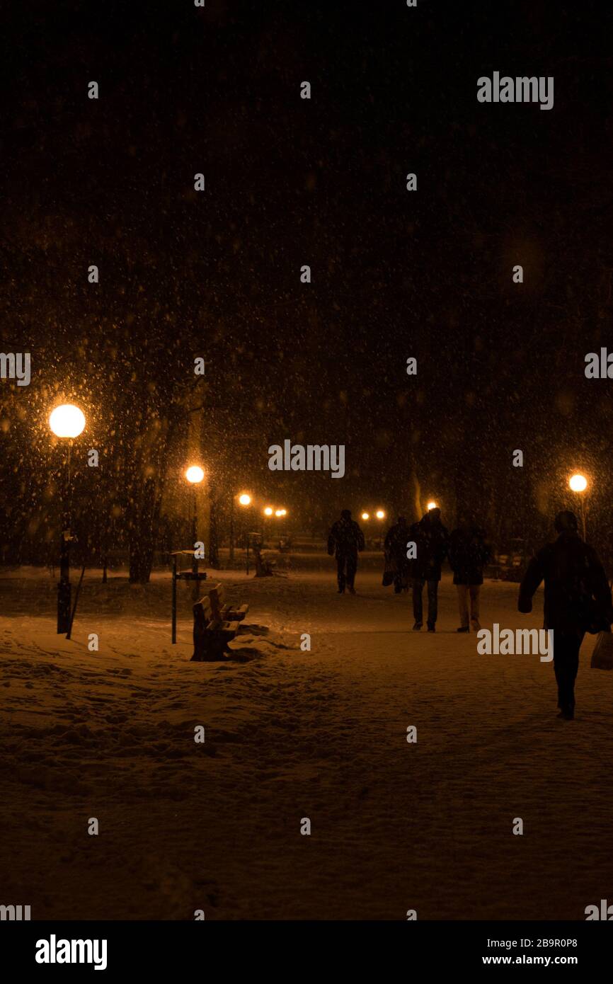 Winter park in the evening covered with snow with a row of lamps and ...