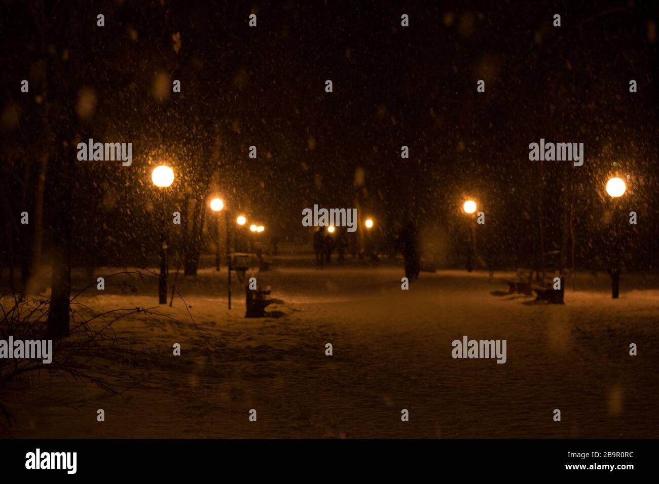 Winter park in the evening covered with snow with a row of lamps and ...