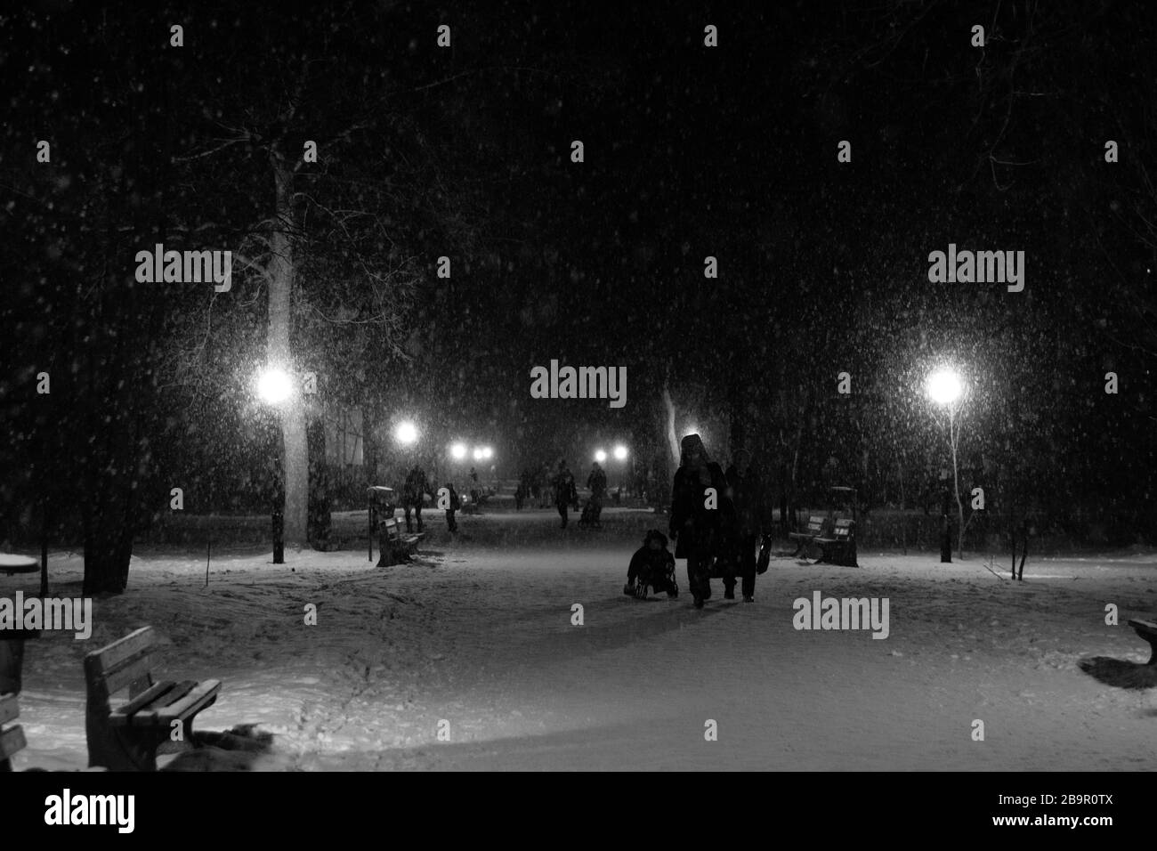 Winter park in the evening covered with snow with a row of lamps and ...