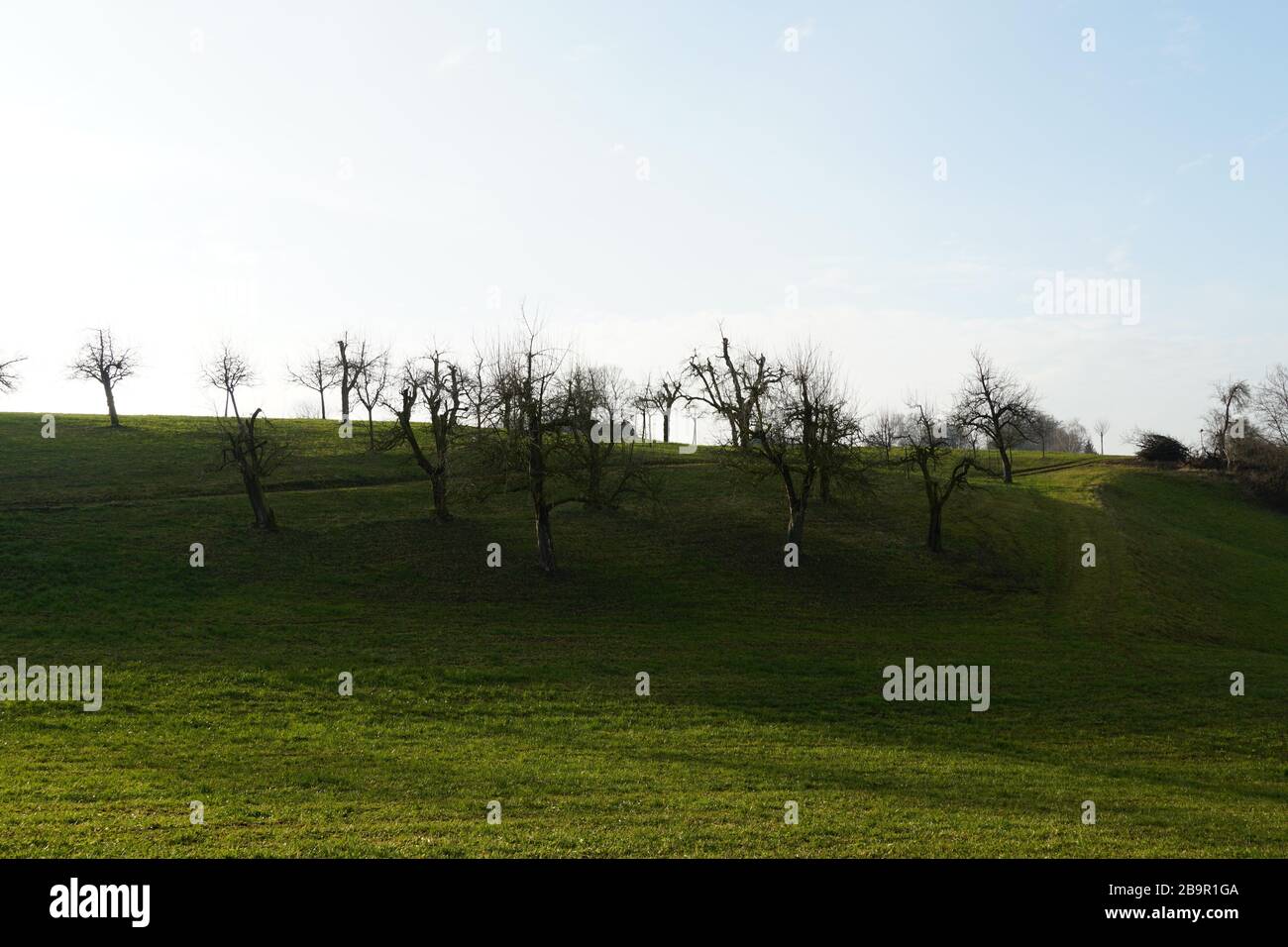 Green trees on the horizon hi-res stock photography and images - Alamy