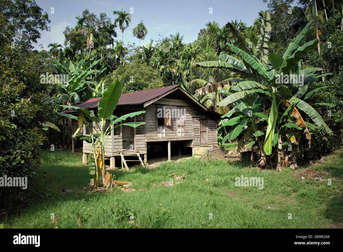 Traditional wooden house on stilts in Malaysian village, Perak province surrounded by jungle and banana trees Stock Photo