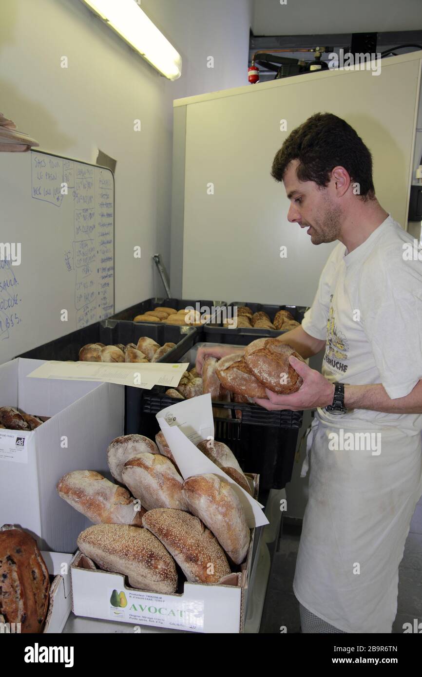 Jean-François Graf, organic baker, certified by Ecocert at work in his workshop in Mauguio, Occitanie France Stock Photo