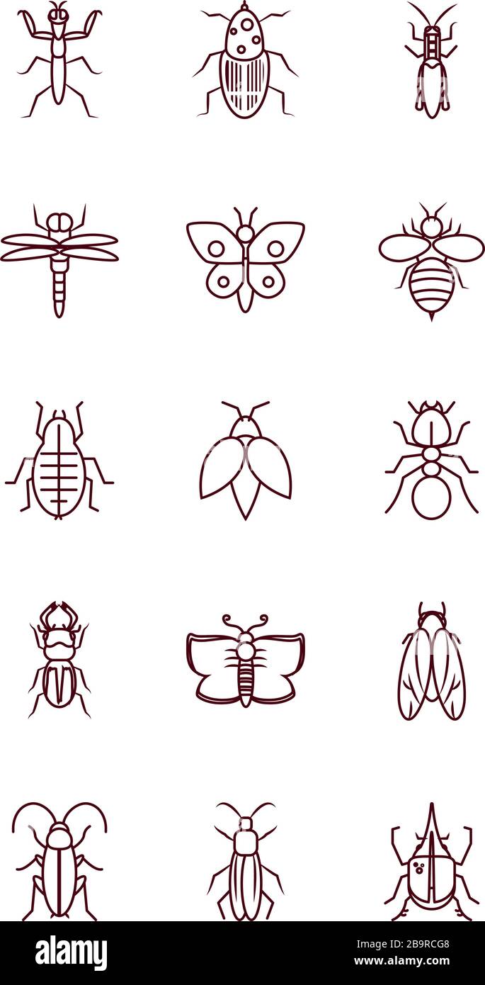 mantis and insect concept icon set over white background, line style ...