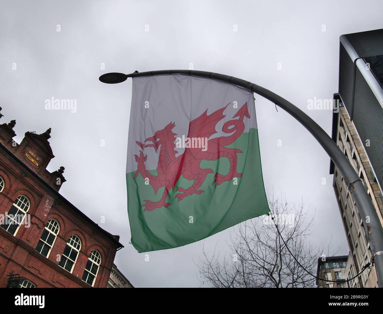 Welsh dragon flag, Cardiff, Wales UK Stock Photo