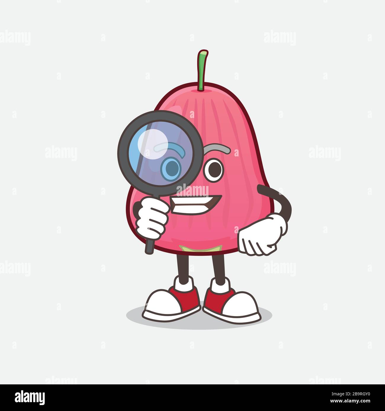 Pink Java Apple Mascot Character Vector Illustration Stock Vector Image ...