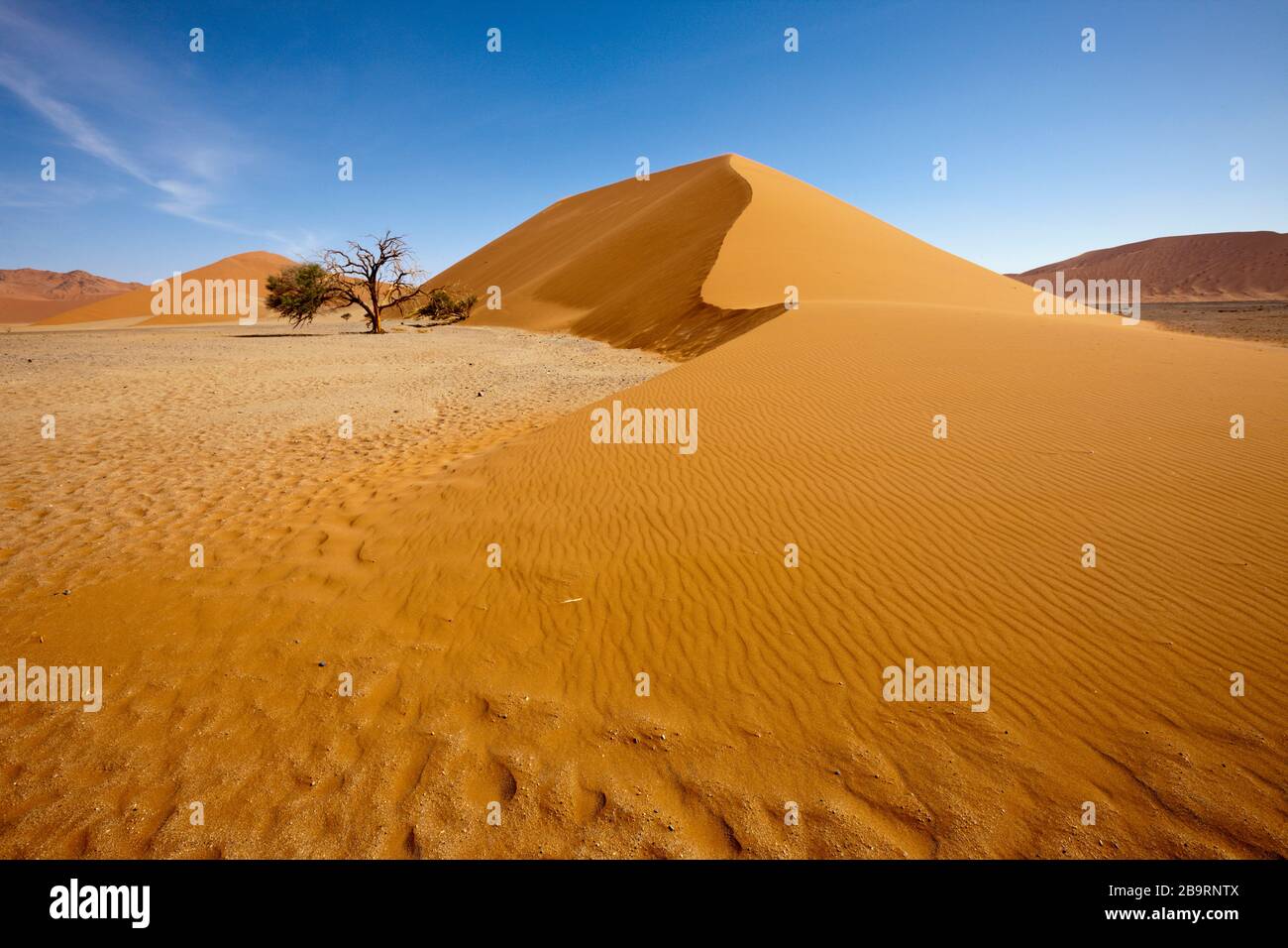 Dune 45 in Sossusvlei Area, Namib Naukluft Park, Namibia Stock Photo