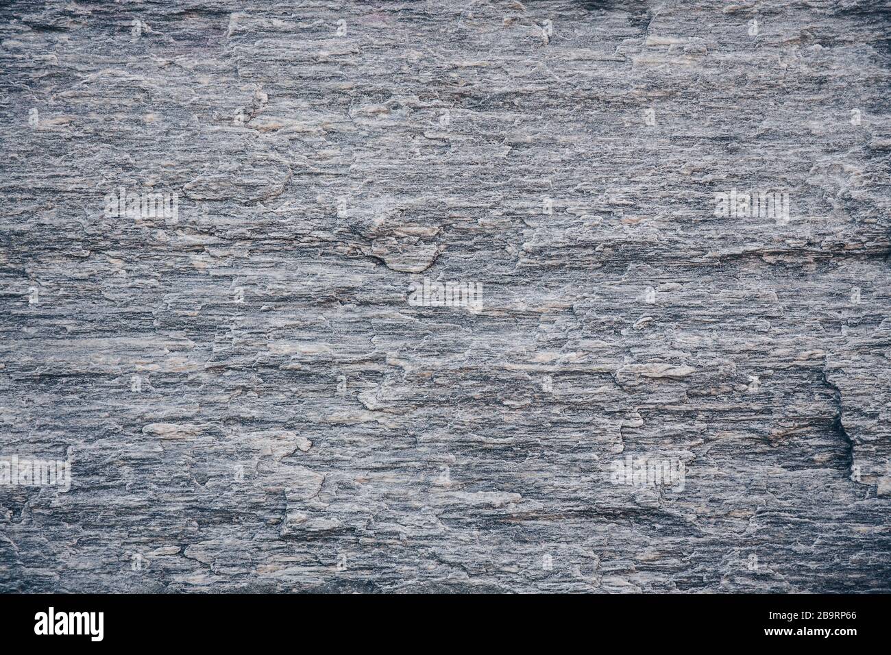 Natural Stone Granite Gneiss Wall Coating Texture Stock Photo