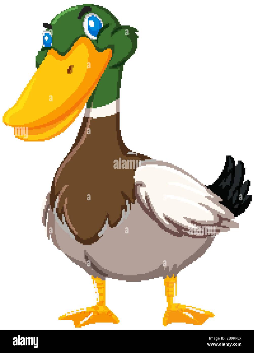 Cute duck on white background illustration Stock Vector Image & Art - Alamy