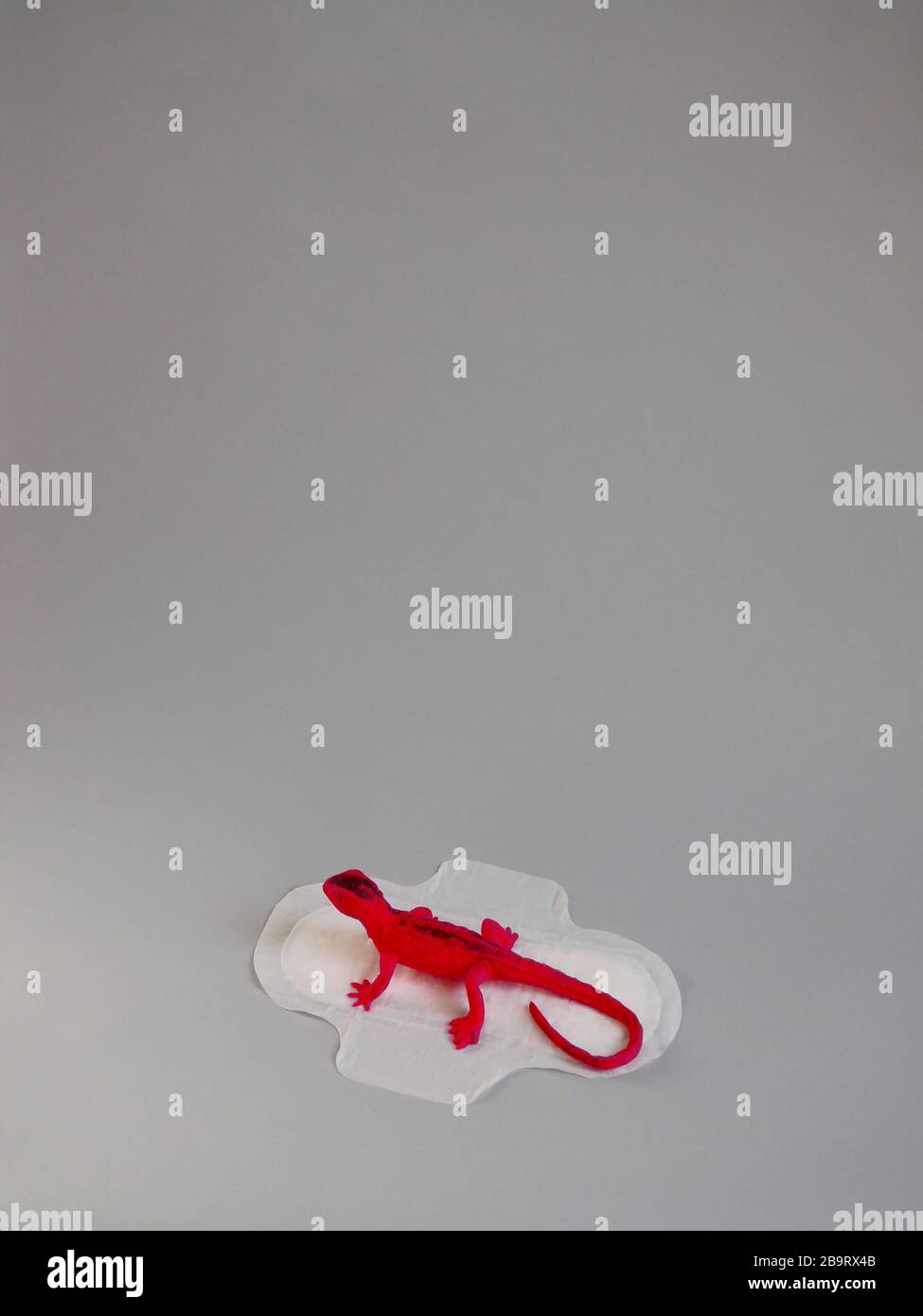 Menstrual pad with red lizard on gray background. Minimalist still life photography concept. Women critical days, gynecological menstruation cycle. Stock Photo