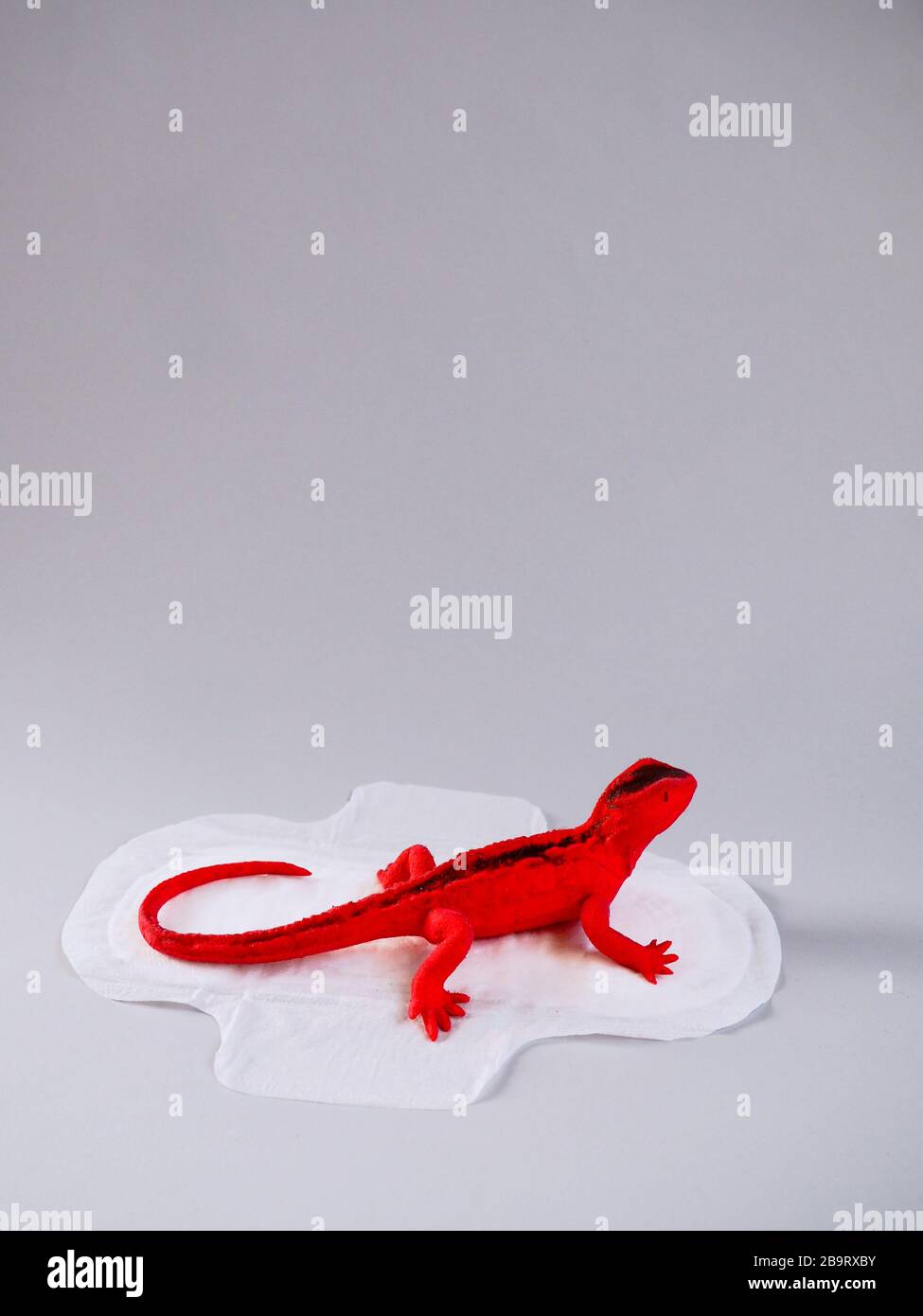 Menstrual pad with red lizard on gray background. Minimalist still life photography concept. Women critical days, gynecological menstruation cycle. Stock Photo