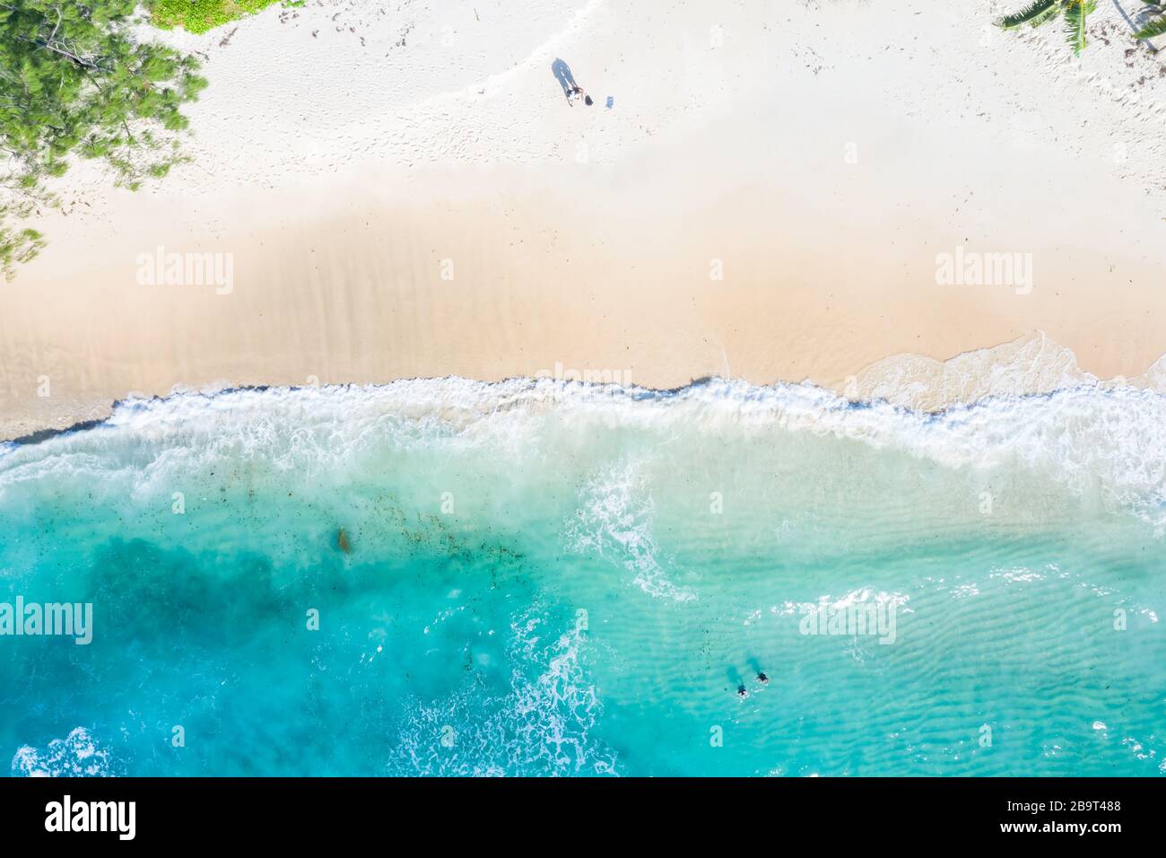 Seychelles beach aerial photo from above Mahé Mahe island vacation paradise ocean drone view photography Stock Photo