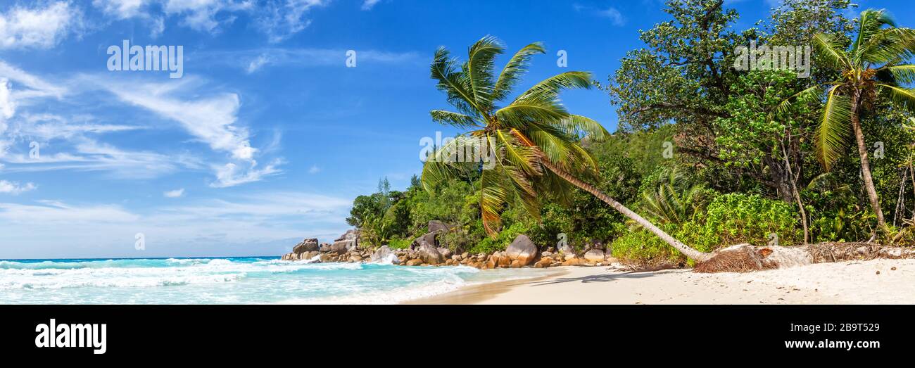 Seychelles Anse Georgette beach Praslin island palm panoramic view holidays vacation paradise sea water Stock Photo
