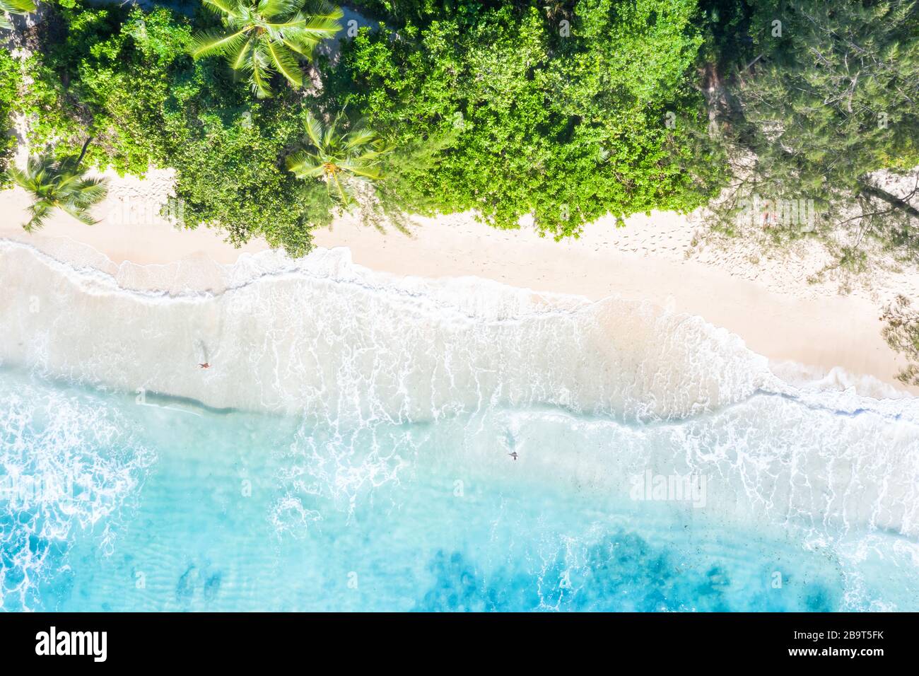 Seychelles beach Mahé Mahe island vacation drone view aerial photo from above photography Stock Photo