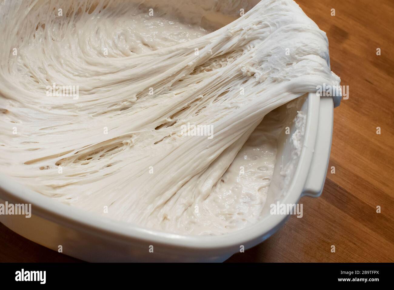 Closeup of the gluten strands in a batch of rising dough Stock Photo