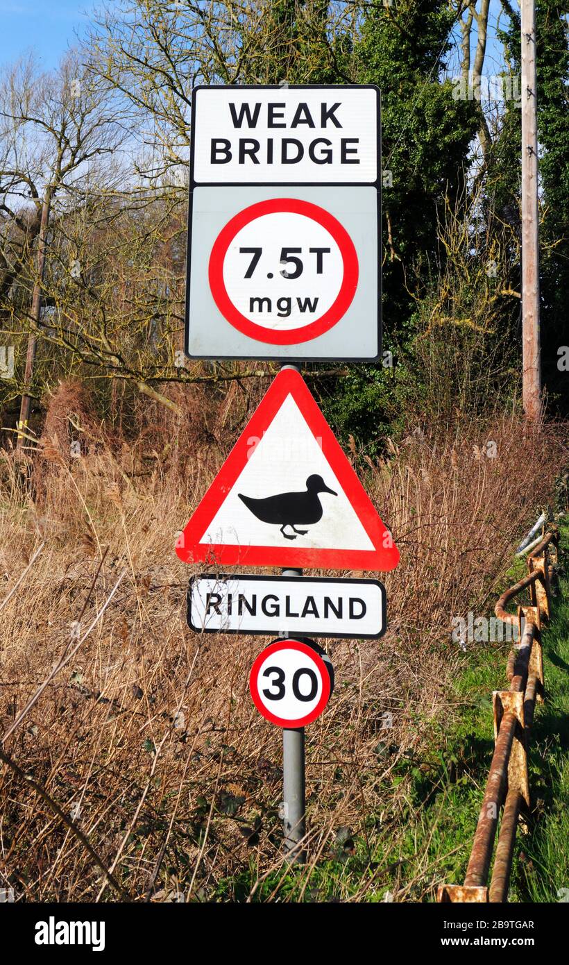 The Ringland Swan Ringland Swan Inn The Street Ringland