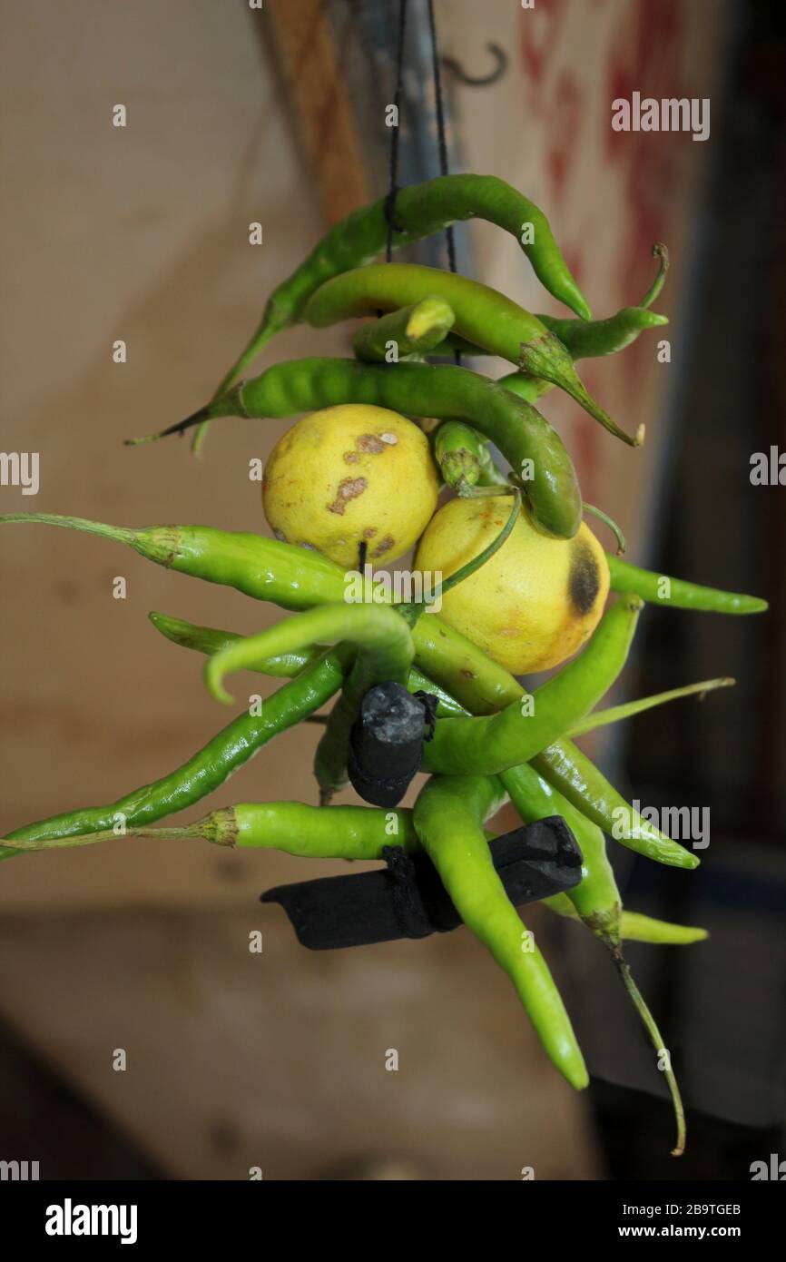 Nimbu mirchi - Lemon and green chillis tied on a thread are hung outside the door to keep away Alakshmi, or Jyestha, who is considered inauspicious Stock Photo