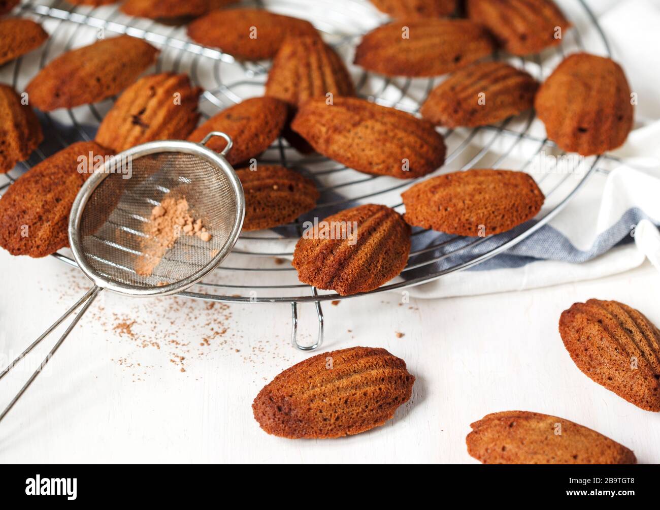 Chocolate Madeleine. French Madeleine Stock Photo Alamy