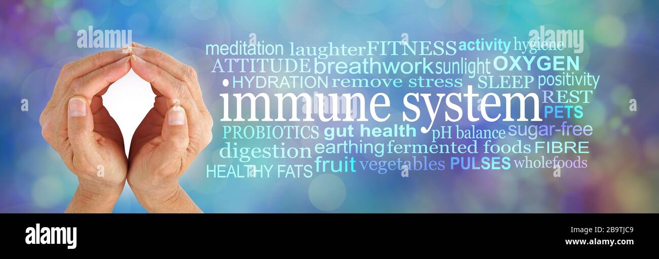 How to SHIELD and boost your Immune System Word Cloud -  female cupped hands beside an IMMUNE SYSTEM word cloud on a  multicoloured bokeh background Stock Photo