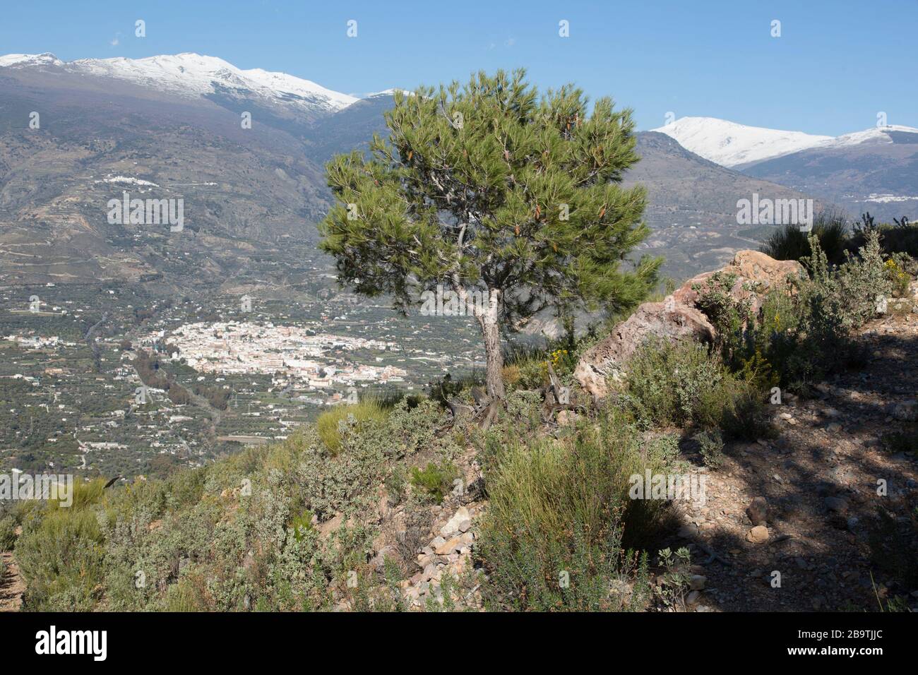 View of Órgiva town in the western Alpujarra valley, below the Sierra Nevada mountains, seen from the Ruta de los Mineros hiking trail. Granada, Andal Stock Photo