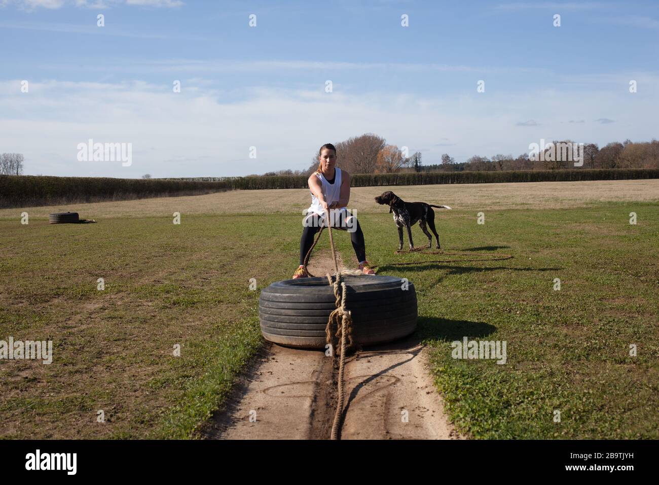 A woman exercising on a farm in the UK with her dog, by pulling an old tyre by a long chain Stock Photo