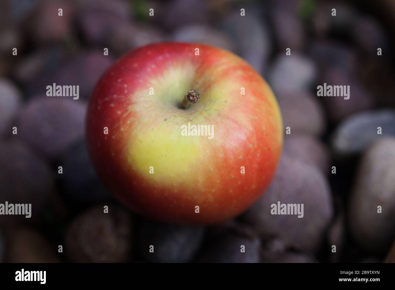 A red apple set among pebbles Stock Photo